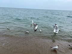 -青海湖二郎剑景区