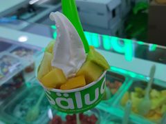 -Salud撒露欧洲冻酸奶(五道口购物中心店)
