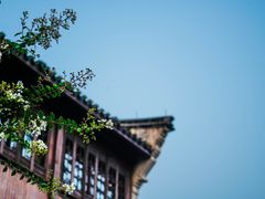 -乌镇东栅景区