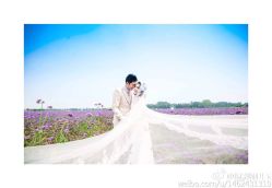 完美新娘-完美新娘婚纱摄影