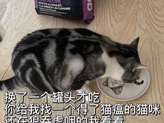 -成都民大动物医院