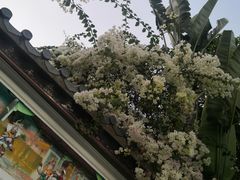 -深圳国际园林花卉博览园