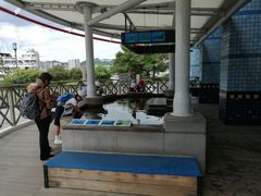 -鹿儿岛水族馆