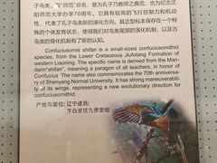 -辽宁古生物博物馆
