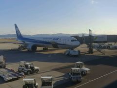 -全日本空输株式会社(上海办事处)