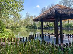 -溱湖国家湿地公园