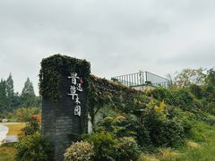 -鲁镇