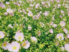 -南山风景名胜区