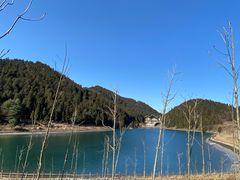 -武陵山森林公园