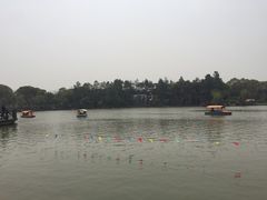 -上海鲜花港