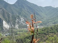 -妙峰山风景名胜区