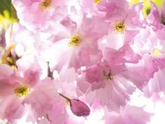 -云峰山自然风景区