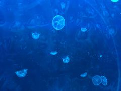 -临沂极地海洋王国