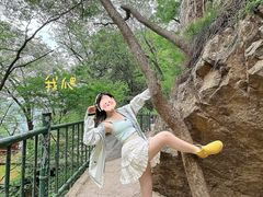 -洛阳白云山景区