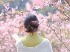 -田野绿世界