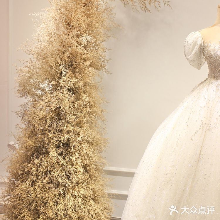 南京礼服ing|氛围感礼服婚纱帮忙看看惹~