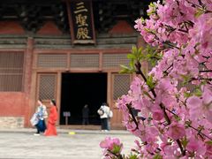 -善化寺
