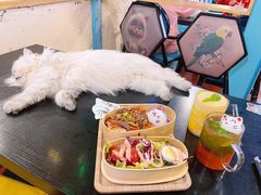 -猫小院猫主题咖啡厅(北锣店)