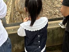 -合肥野生动物园