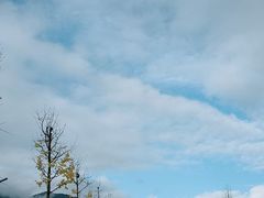 -章水镇文体中心