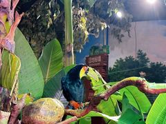 -正佳雨林生态植物园