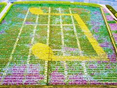 -中国天府农业博览园