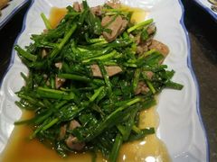 韭菜-西关回头馆(西关美食街店)