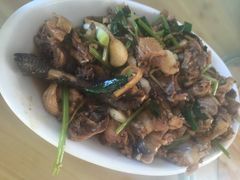 黄焖土鸡-生态苑农庄(十里画廊遇龙河店)