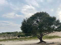 -库伦旗银沙湾旅游景区