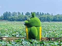 -焦岗湖旅游度假区