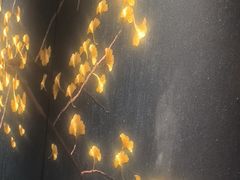 -百富源·海鲜辽菜(张士店)