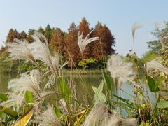 -梁鸿国家湿地公园