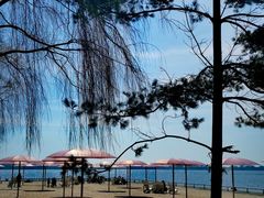 -蜜糖海滩