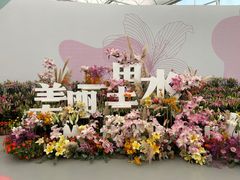 -万顷园艺世界