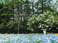 -上海滨江森林公园