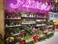 -南城百货(亭江店)