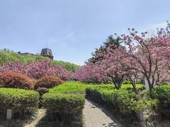 -马濠公园