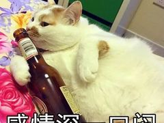 -济南恒隆广场