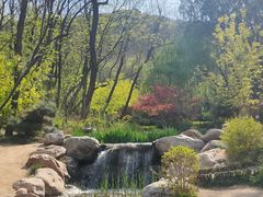 -大连植物园