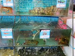 水产区-范饭椰林川湘味海鲜·椰子鸡(三亚湾椰梦长廊店)