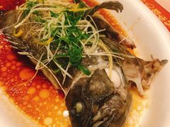 -新兴·金羊座·粤菜点心(乐峰店)