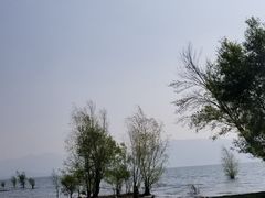 -大理洱海