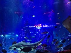 -沈阳海洋探索中心