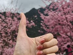 -灵光寺