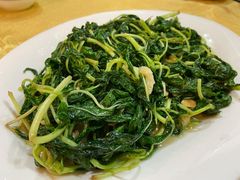 麻叶菜-辉记潮汕海鲜砂锅粥(林和西店)