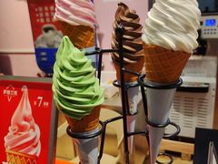 -萨朗刀克冰淇淋雪花凉(植物园店)
