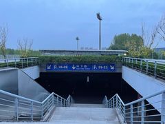-南京奥林匹克体育中心-体育馆