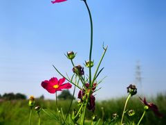 -汉长安城未央宫国家考古遗址公园