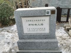 -万松老人塔