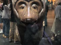 -广西壮族自治区博物馆